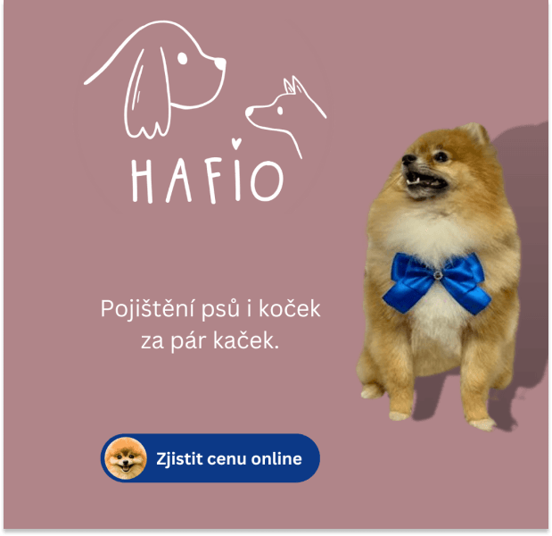 Hafio recepty - pojištění